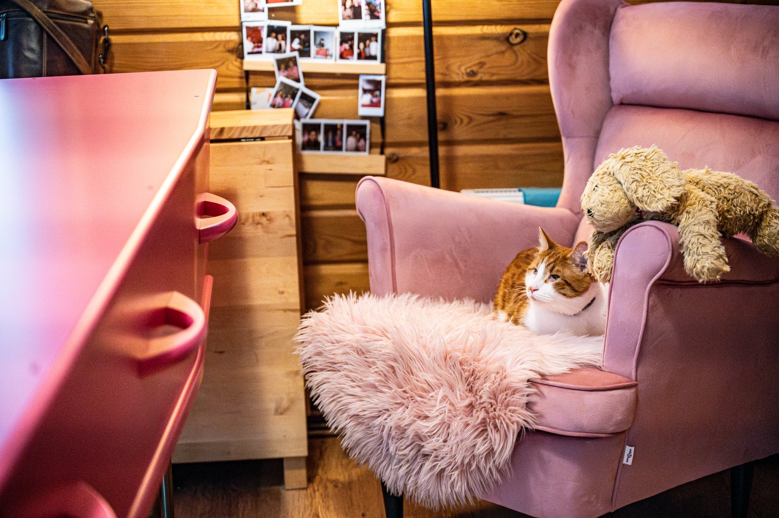 Roze kist met een knuffel, en de kat in de stoel ernaast