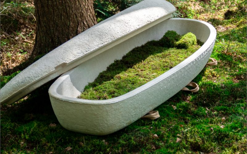 Loop Living Cocoon, een kist gegroeid uit paddenstoelen en gevoerd met mos, in het bos